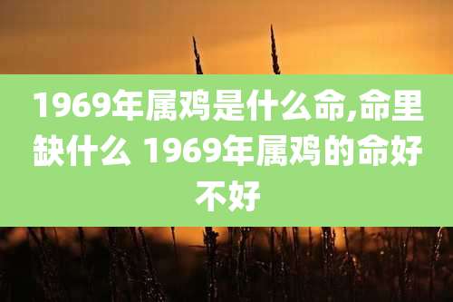 1969年属鸡是什么命,命里缺什么 1969年属鸡的命好不好