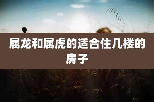 属龙和属虎的适合住几楼的房子