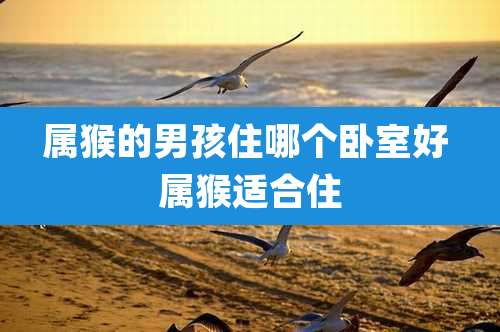 属猴的男孩住哪个卧室好 属猴适合住