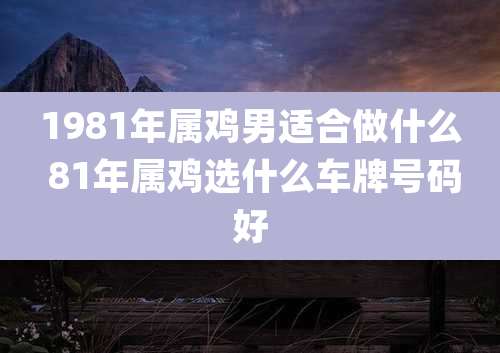 1981年属鸡男适合做什么 81年属鸡选什么车牌号码好