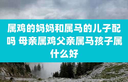 属鸡的妈妈和属马的儿子配吗 母亲属鸡父亲属马孩子属什么好