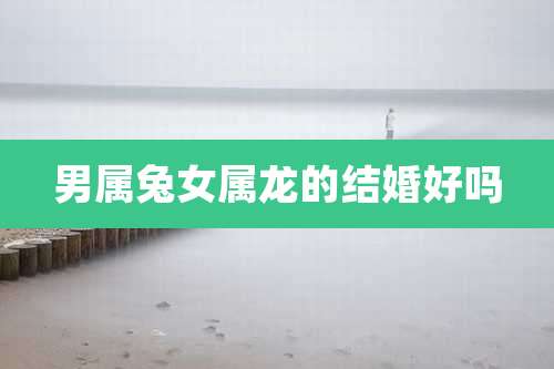 男属兔女属龙的结婚好吗