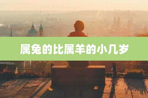 属兔的比属羊的小几岁