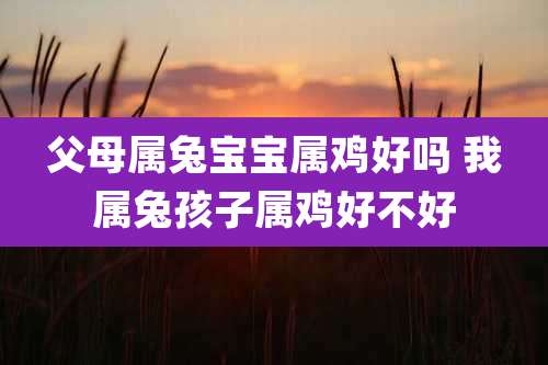 父母属兔宝宝属鸡好吗 我属兔孩子属鸡好不好