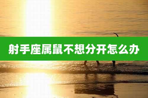 射手座属鼠不想分开怎么办