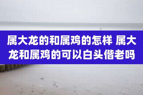 属大龙的和属鸡的怎样 属大龙和属鸡的可以白头偕老吗