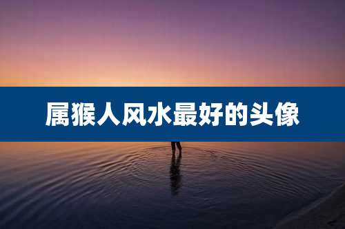 属猴人风水最好的头像