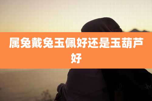 属兔戴兔玉佩好还是玉葫芦好