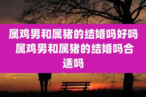 属鸡男和属猪的结婚吗好吗 属鸡男和属猪的结婚吗合适吗