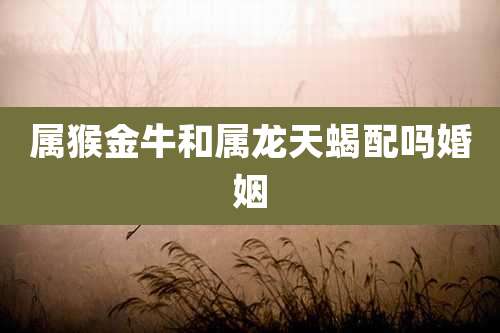 属猴金牛和属龙天蝎配吗婚姻