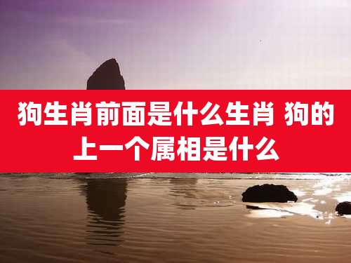 狗生肖前面是什么生肖 狗的上一个属相是什么