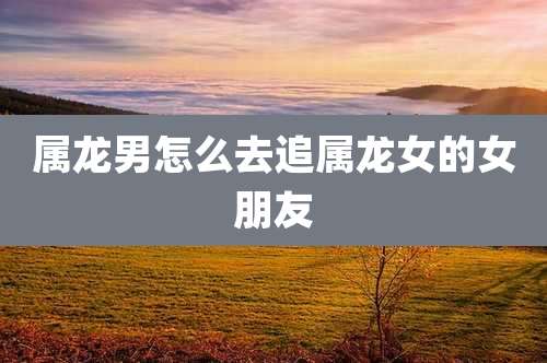 属龙男怎么去追属龙女的女朋友