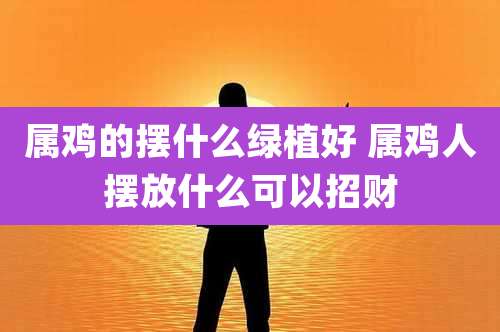 属鸡的摆什么绿植好 属鸡人摆放什么可以招财