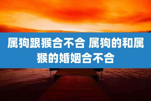属狗跟猴合不合 属狗的和属猴的婚姻合不合