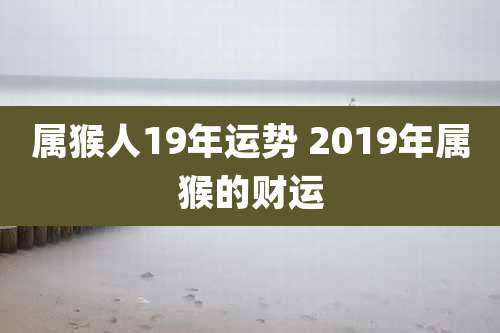 属猴人19年运势 2019年属猴的财运