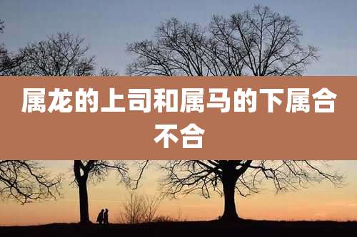 属龙的上司和属马的下属合不合