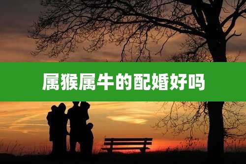 属猴属牛的配婚好吗
