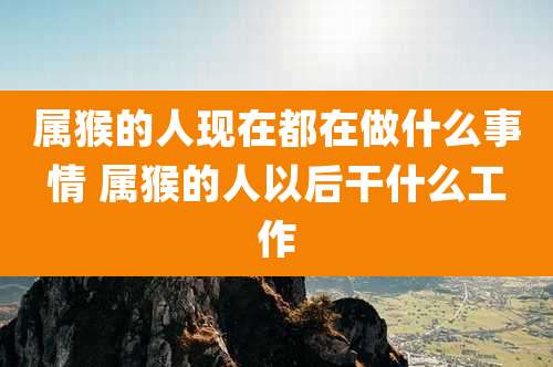 属猴的人现在都在做什么事情 属猴的人以后干什么工作