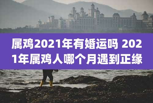 属鸡2021年有婚运吗 2021年属鸡人哪个月遇到正缘
