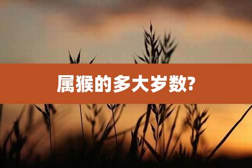 属猴的多大岁数?