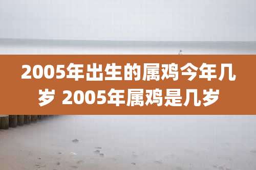 2005年出生的属鸡今年几岁 2005年属鸡是几岁
