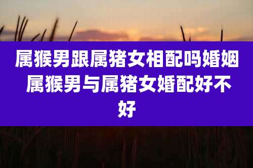 属猴男跟属猪女相配吗婚姻 属猴男与属猪女婚配好不好