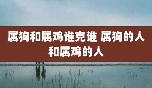 属狗和属鸡谁克谁 属狗的人和属鸡的人