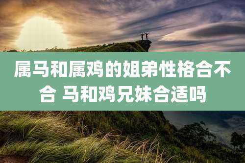属马和属鸡的姐弟性格合不合 马和鸡兄妹合适吗