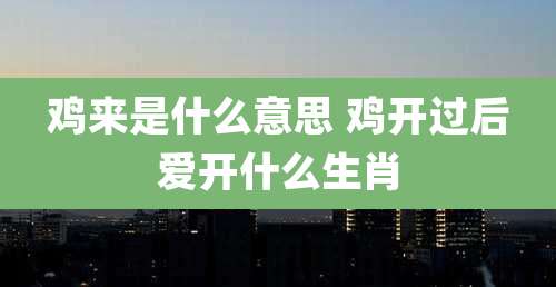 鸡来是什么意思 鸡开过后爱开什么生肖