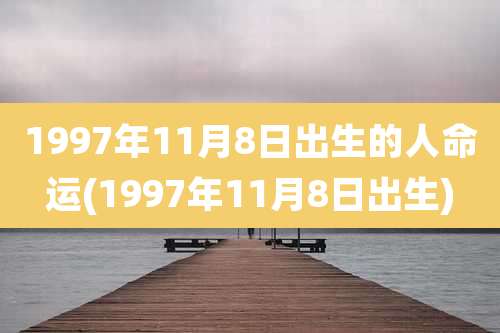1997年11月8日出生的人命运(1997年11月8日出生)