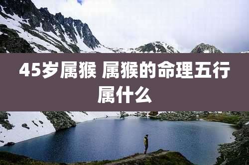 45岁属猴 属猴的命理五行属什么