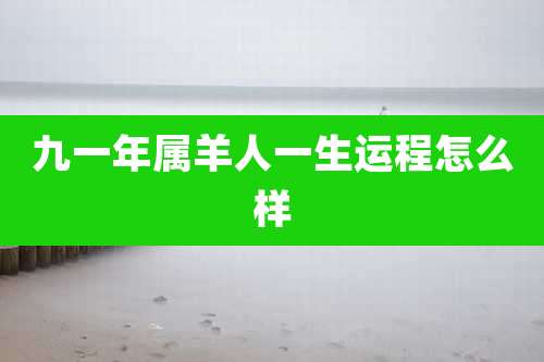 九一年属羊人一生运程怎么样