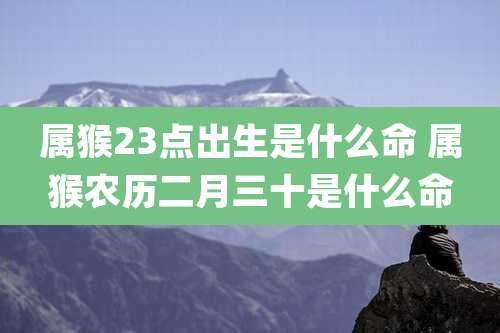 属猴23点出生是什么命 属猴农历二月三十是什么命