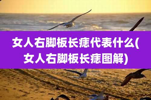 女人右脚板长痣代表什么(女人右脚板长痣图解)