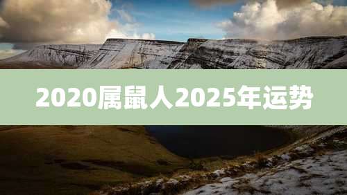2020属鼠人2025年运势