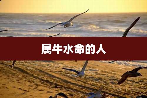 属牛水命的人