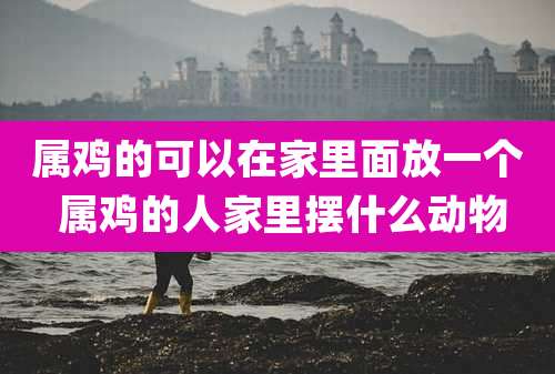 属鸡的可以在家里面放一个 属鸡的人家里摆什么动物