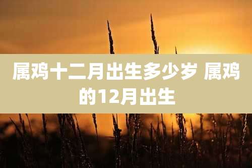 属鸡十二月出生多少岁 属鸡的12月出生