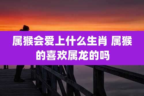 属猴会爱上什么生肖 属猴的喜欢属龙的吗