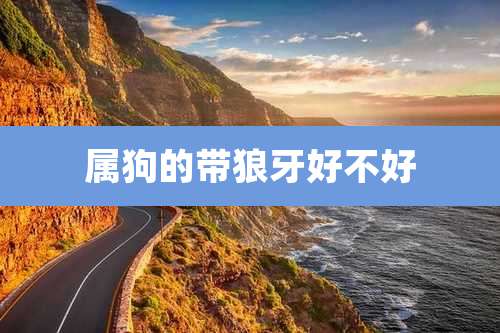 属狗的带狼牙好不好