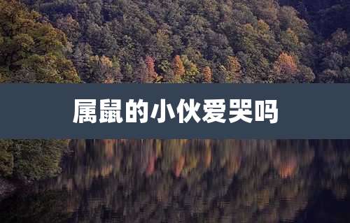 属鼠的小伙爱哭吗