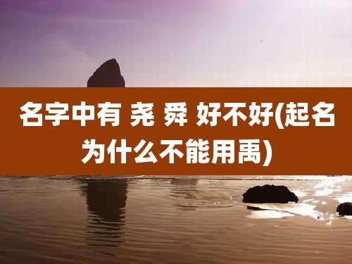 名字中有 尧 舜 好不好(起名为什么不能用禹)