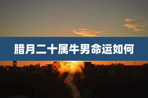 腊月二十属牛男命运如何