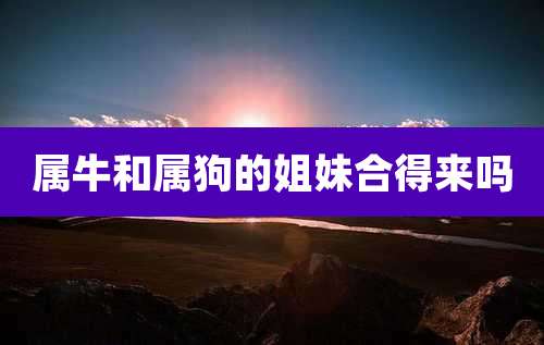 属牛和属狗的姐妹合得来吗
