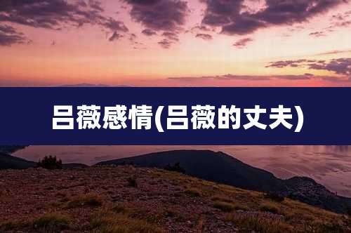 吕薇感情(吕薇的丈夫)