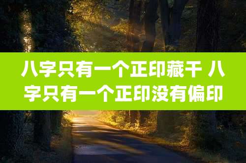 八字只有一个正印藏干 八字只有一个正印没有偏印