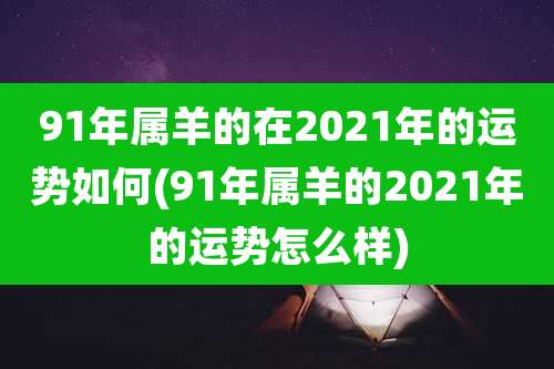 91年属羊的在2021年的运势如何(91年属羊的2021年的运势怎么样)