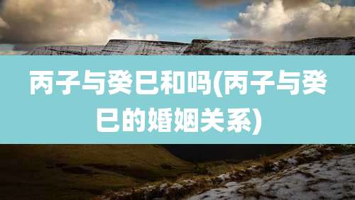 丙子与癸巳和吗(丙子与癸巳的婚姻关系)