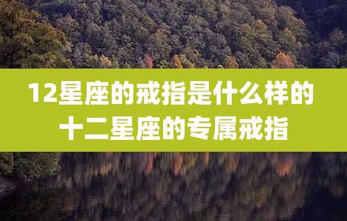12星座的戒指是什么样的 十二星座的专属戒指