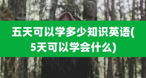 五天可以学多少知识英语(5天可以学会什么)